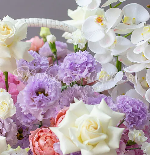 Корзина Тайна млечного пути — Повод Найдется