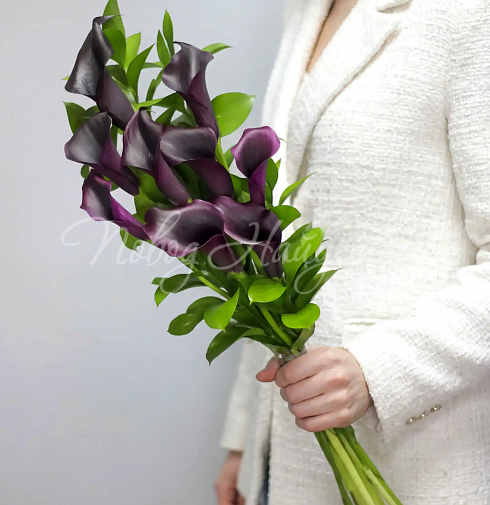 Букет 9 фиолетовых калл — Повод Найдется