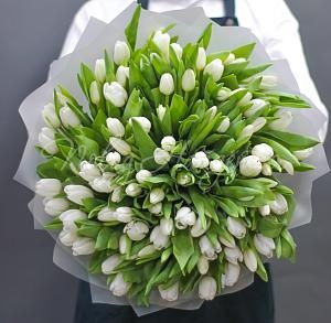 101 белый тюльпан