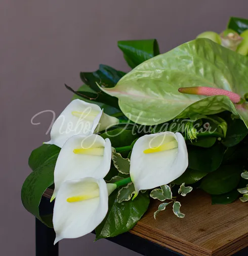 Цветочная композиция Композиция № 54 — Повод Найдется