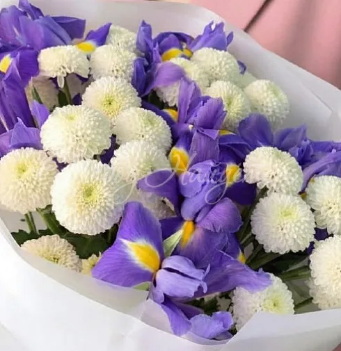 Букет Весеннее небо Москвы — Повод Найдется