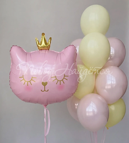 Воздушные шары Шары Шары для девочки 008