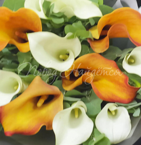 Букет Ароматное чудо — Повод Найдется