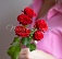 Кустовая красная роза 50 см
