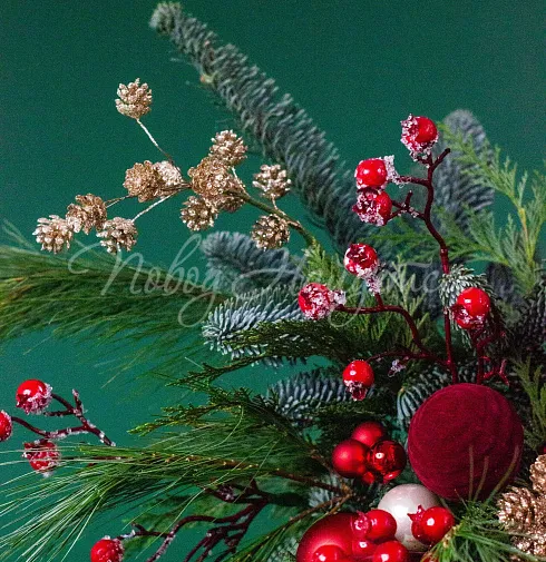 Дух Рождества