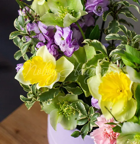 Корпоративный 056