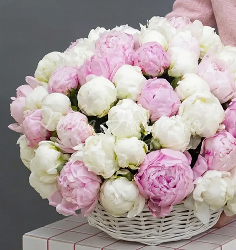 Монобукеты из пионов Букет Летние каникулы