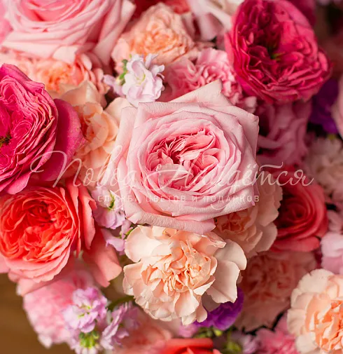 Корзина Невесомая пудра — Повод Найдется