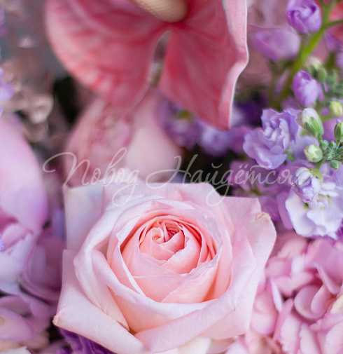 Букет Притягательная — Повод Найдется