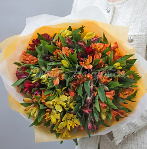 Монобукеты из альстромерии Букет Денс