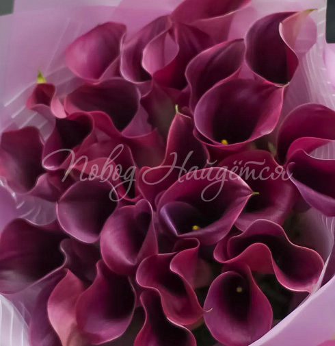 Букет Южная ночь — Повод Найдется