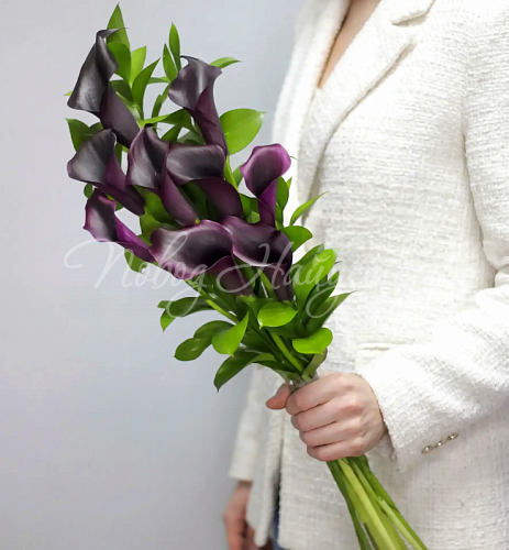 3500 - 5500 руб. Букет 9 фиолетовых калл