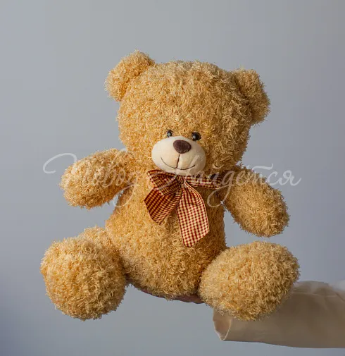 Мишка, 50 см