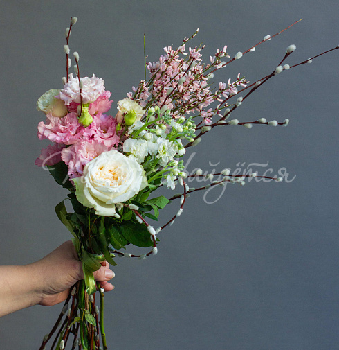 Новая весна