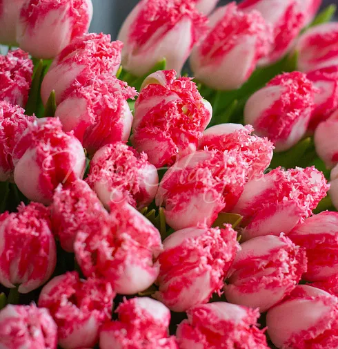 Букет Ты-моя нежность — Повод Найдется