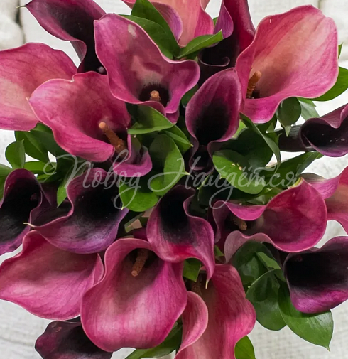 Букет Вишневая легенда — Повод Найдется