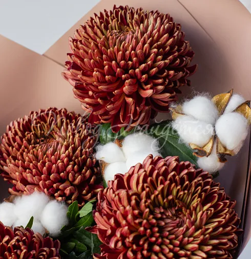 Букет Рената — Повод Найдется