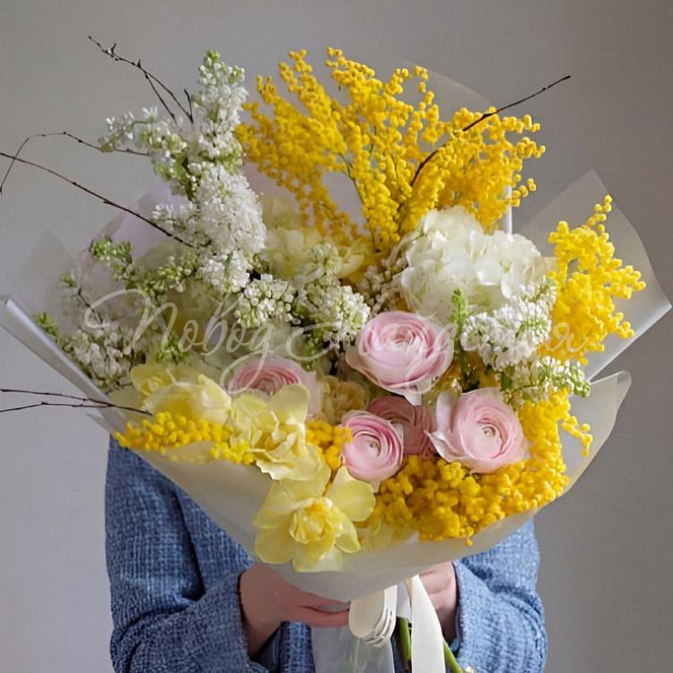 8.03 Солнечный день