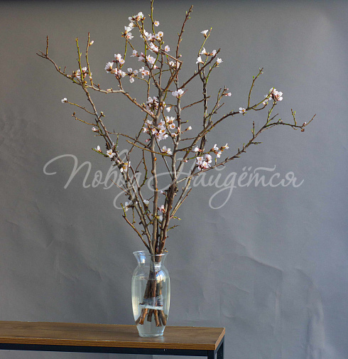 Букет Цветущий миндаль — Повод Найдется