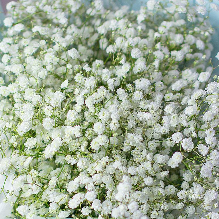 Букет Розовая комета