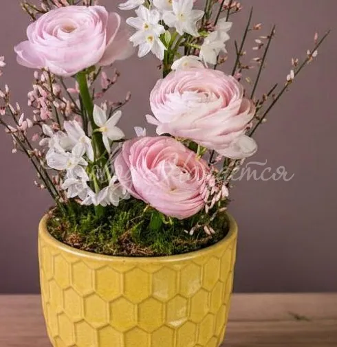 Букет Морозная клюква — Повод Найдется