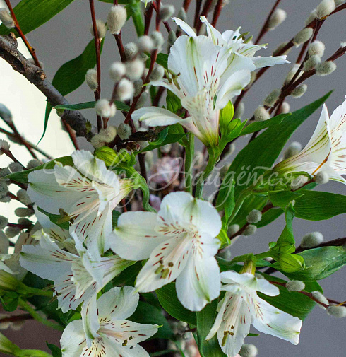 Воздух апреля