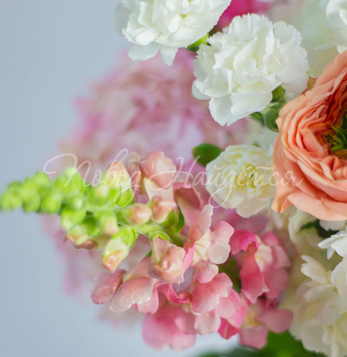 Букет В центре внимания — Повод Найдется