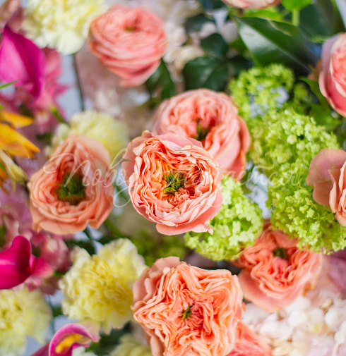 Букет Солнце Колорадо — Повод Найдется