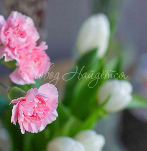 Пасхальный сет № 5