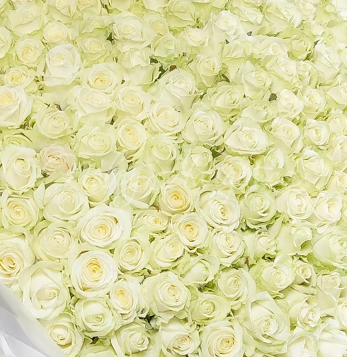 Букет Варна — Повод Найдется