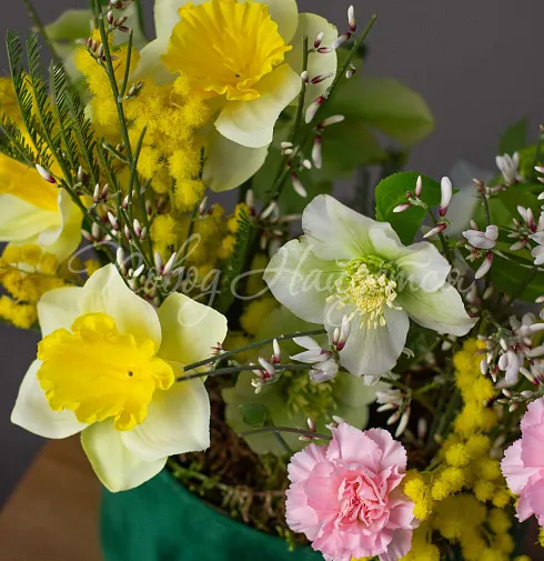 Корпоративный 053