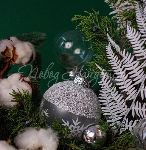 Зимние грезы