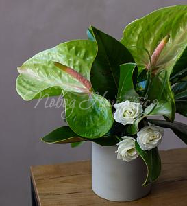 Цветочная композиция Композиция №117