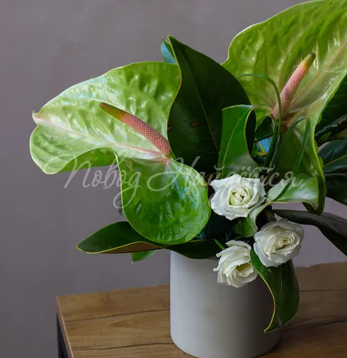 Цветочная композиция Композиция №117 — Повод Найдется