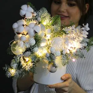 Новый год Мороз и Солнце