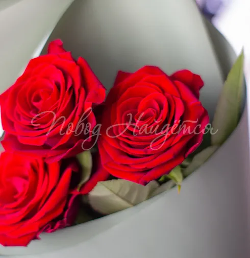 Букет 3 красные розы с бесплатной доставкой — Повод Найдется
