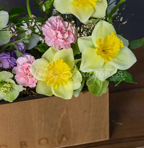 Корпоративный 052