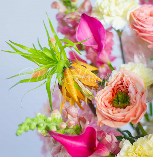 Букет Солнце Колорадо — Повод Найдется