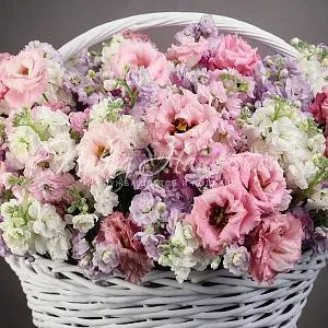 РОЗЫ Букет Кружевные облака