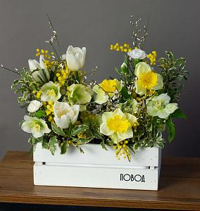 8.03 Первые подснежники