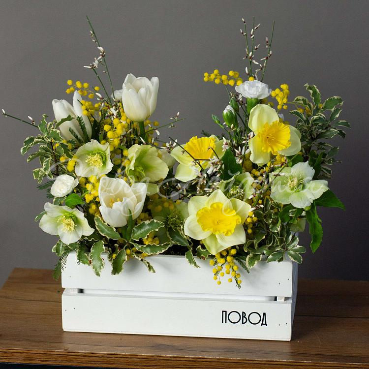 Первые подснежники