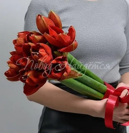 Букет Аморе-Аморе — Повод Найдется