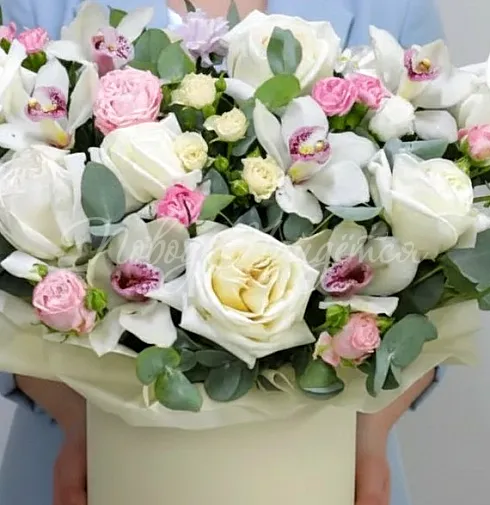 Корзина Холодная комета — Повод Найдется