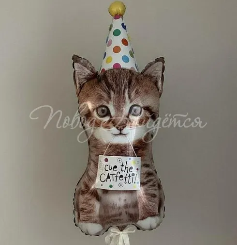 Шары Котенок в колпаке — Повод Найдется