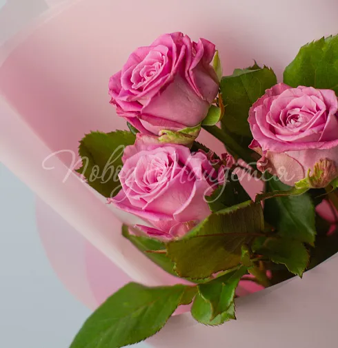 Букет 3 розы с бесплатной доставкой — Повод Найдется