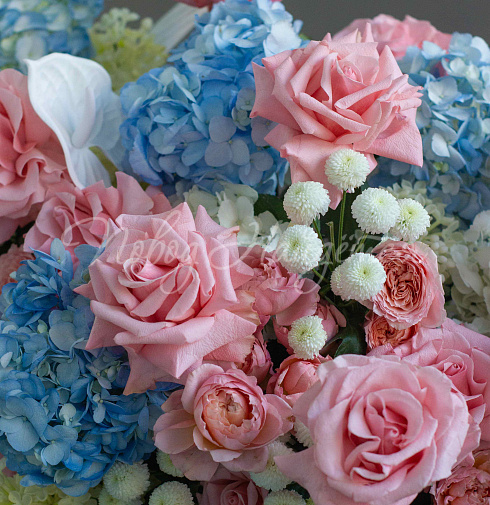 Корзина Карибское море — Повод Найдется