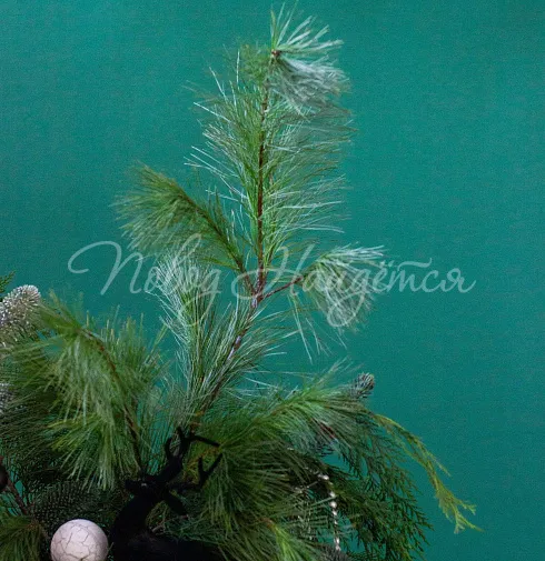 Брызги шампанского