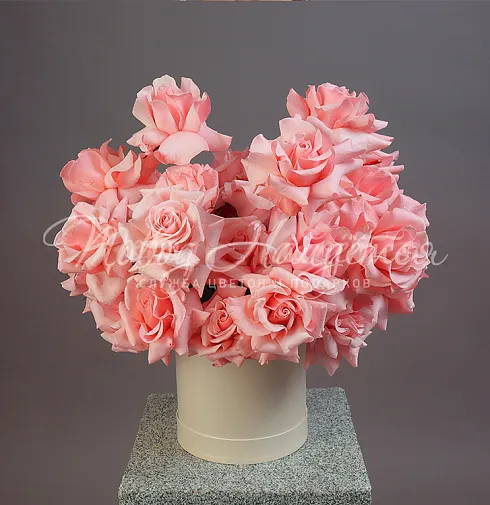 Букет Лисан — Повод Найдется