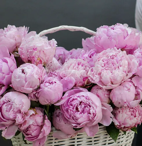 Букет Великолепие Италии — Повод Найдется