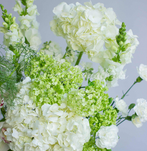 Букет Чистые мысли — Повод Найдется